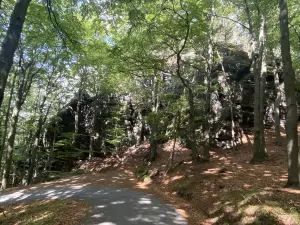 Großer Winterberg-Wanderrunde, km 2