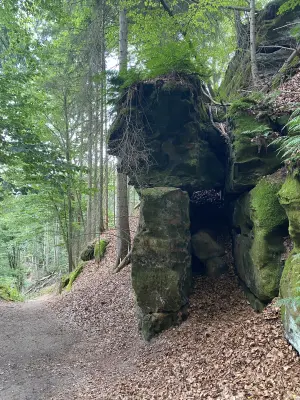 Großer Winterberg-Wanderrunde, km 7
