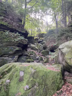 Großer Winterberg-Wanderrunde, km 14