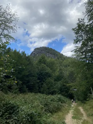 Großer Winterberg-Wanderrunde, km 8